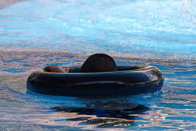 Famille et amis-SEP19-002